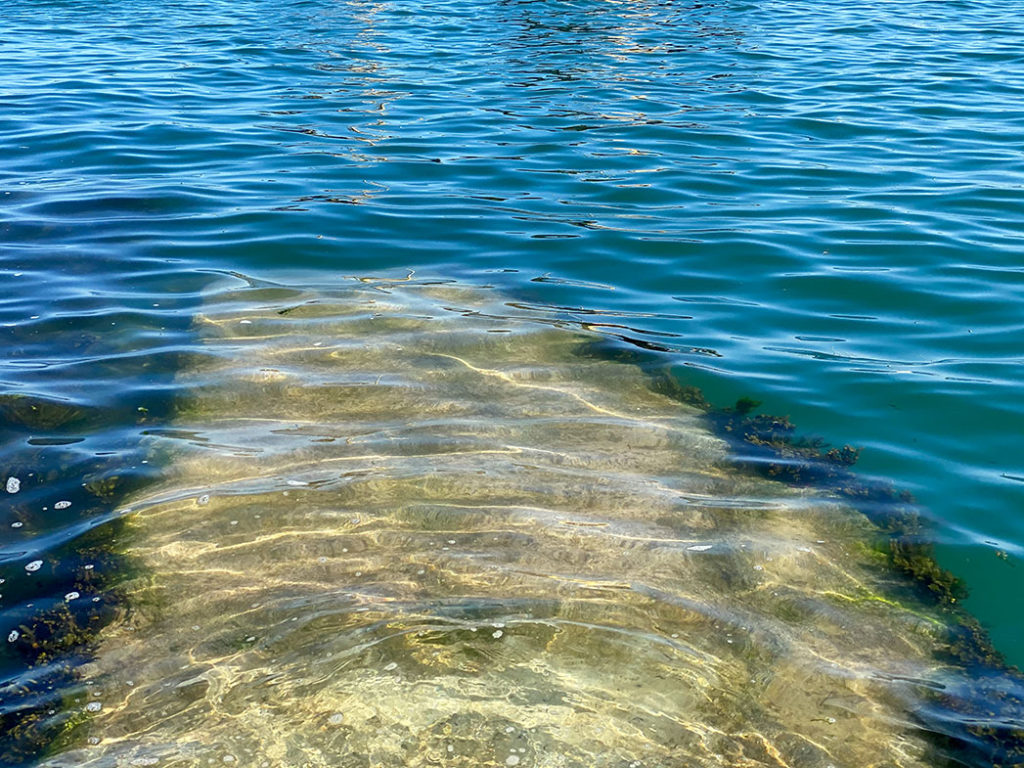 Stone steps in the sea