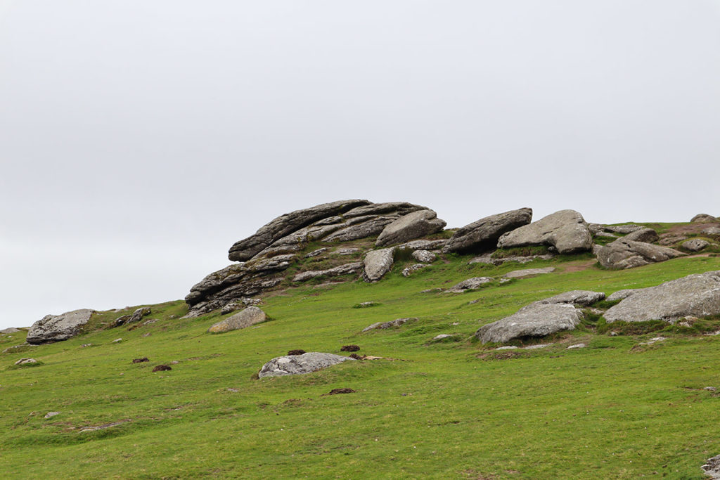 Dartmoor - Wordless Wednesday