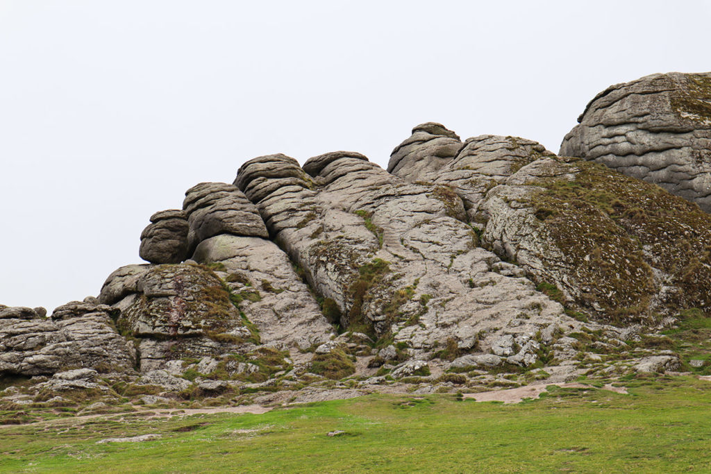 Dartmoor - Wordless Wednesday