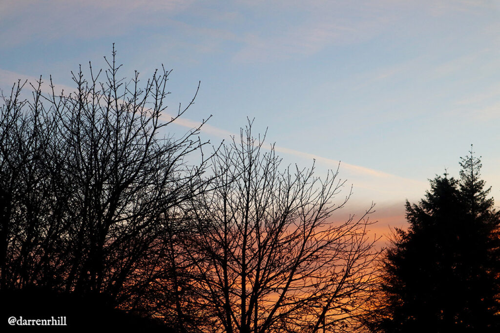 A little colour in the morning clouds behind the trees