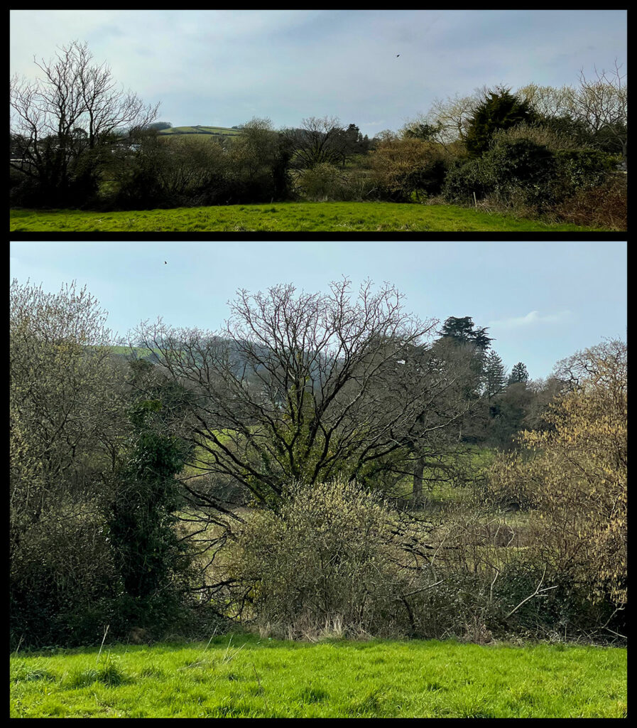 looking for a path wordless Wednesday