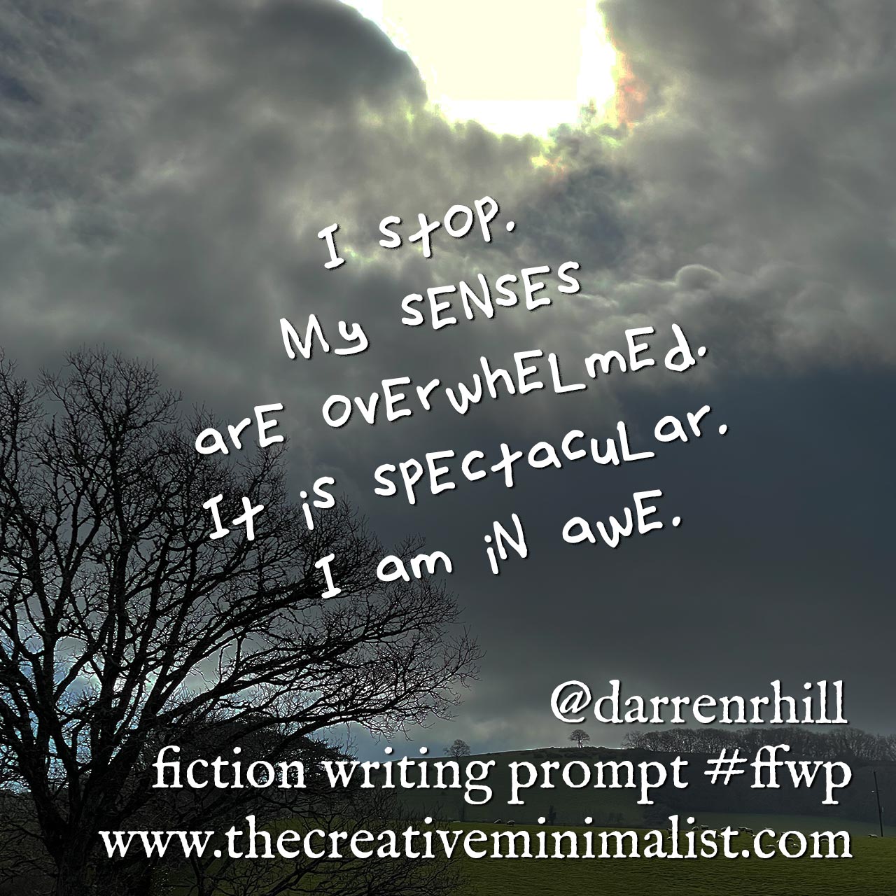 I stop. My senses are overwhelmed. It is spectacular. I am in awe. Friday Fiction Writing Prompt