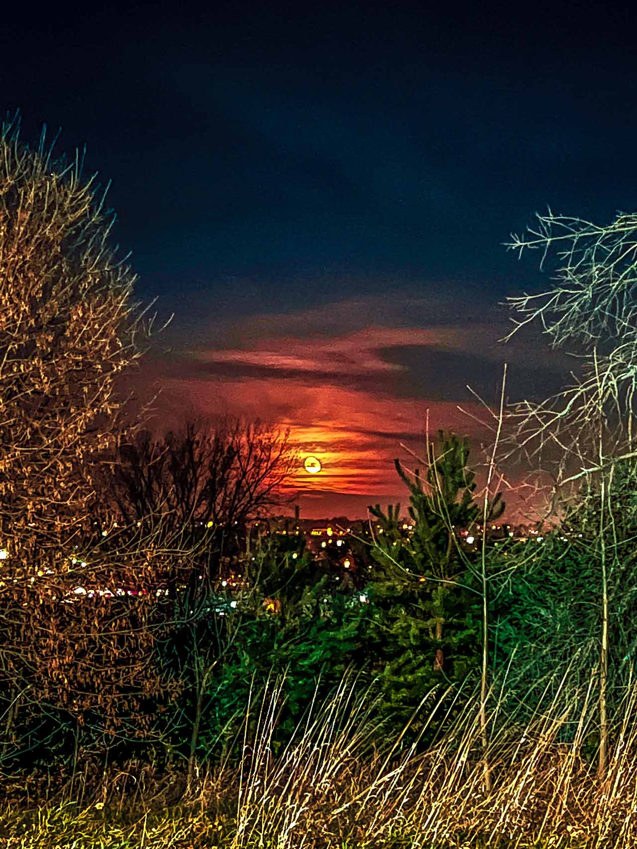 The moon was bright on a wordless Wednesday