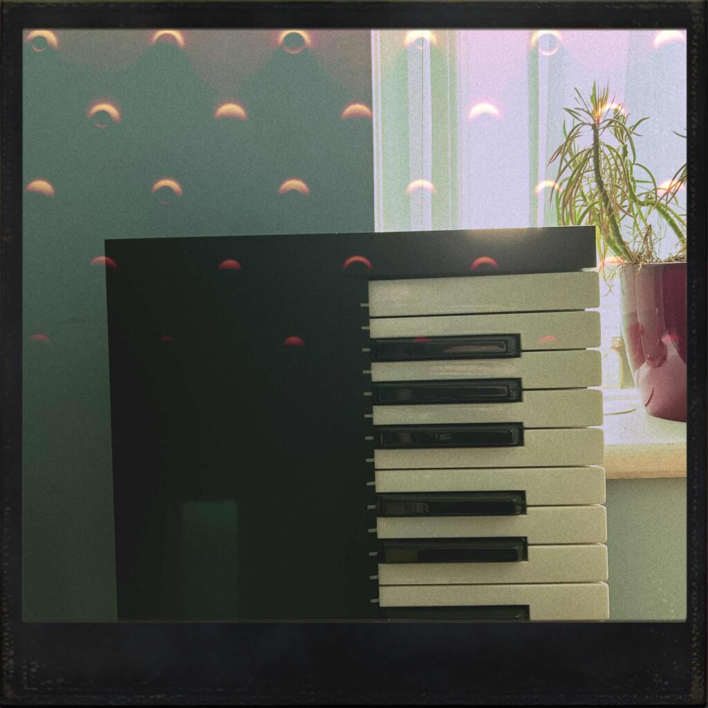 Native Instruments Komplete Knontrol S61 keyboard, plant and window