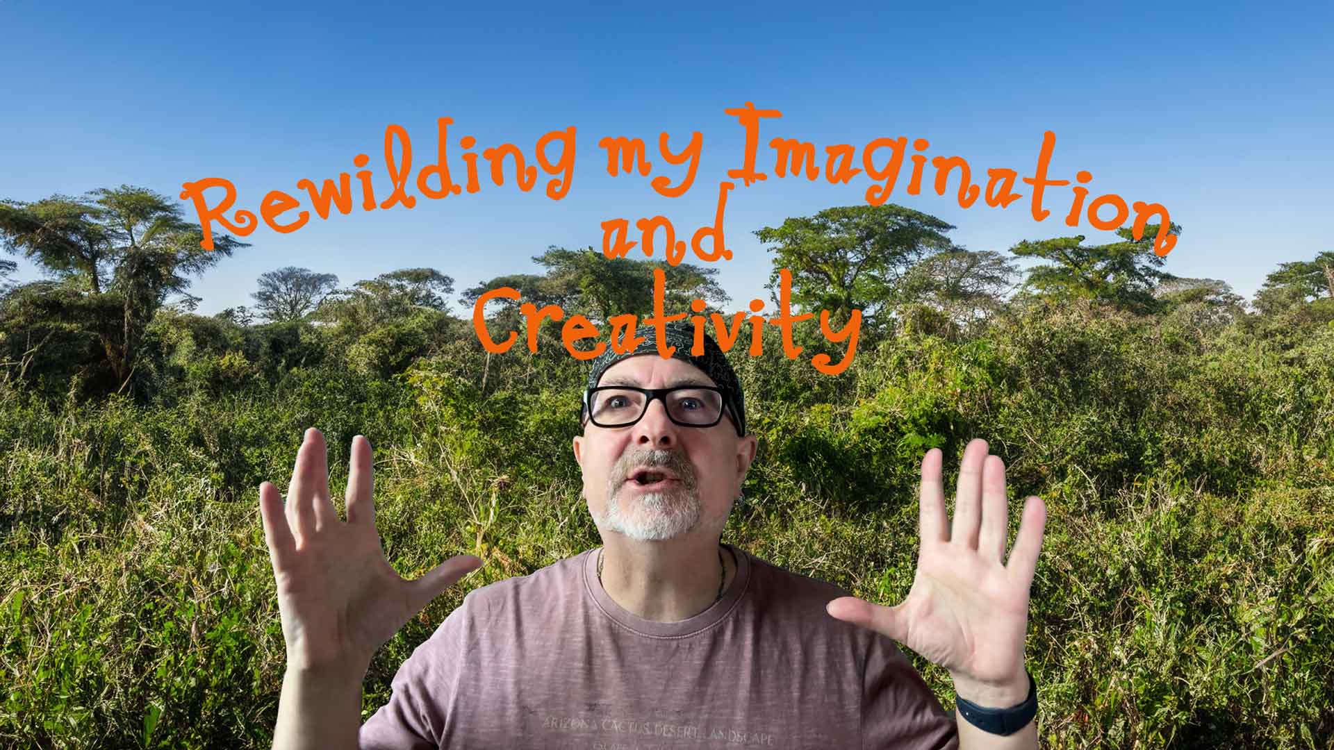 Rewilding my Imagination and Creativity